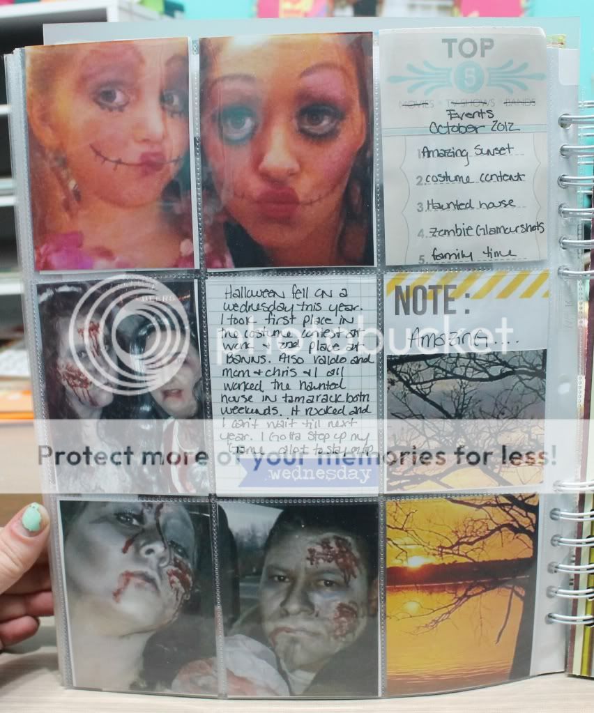 project life