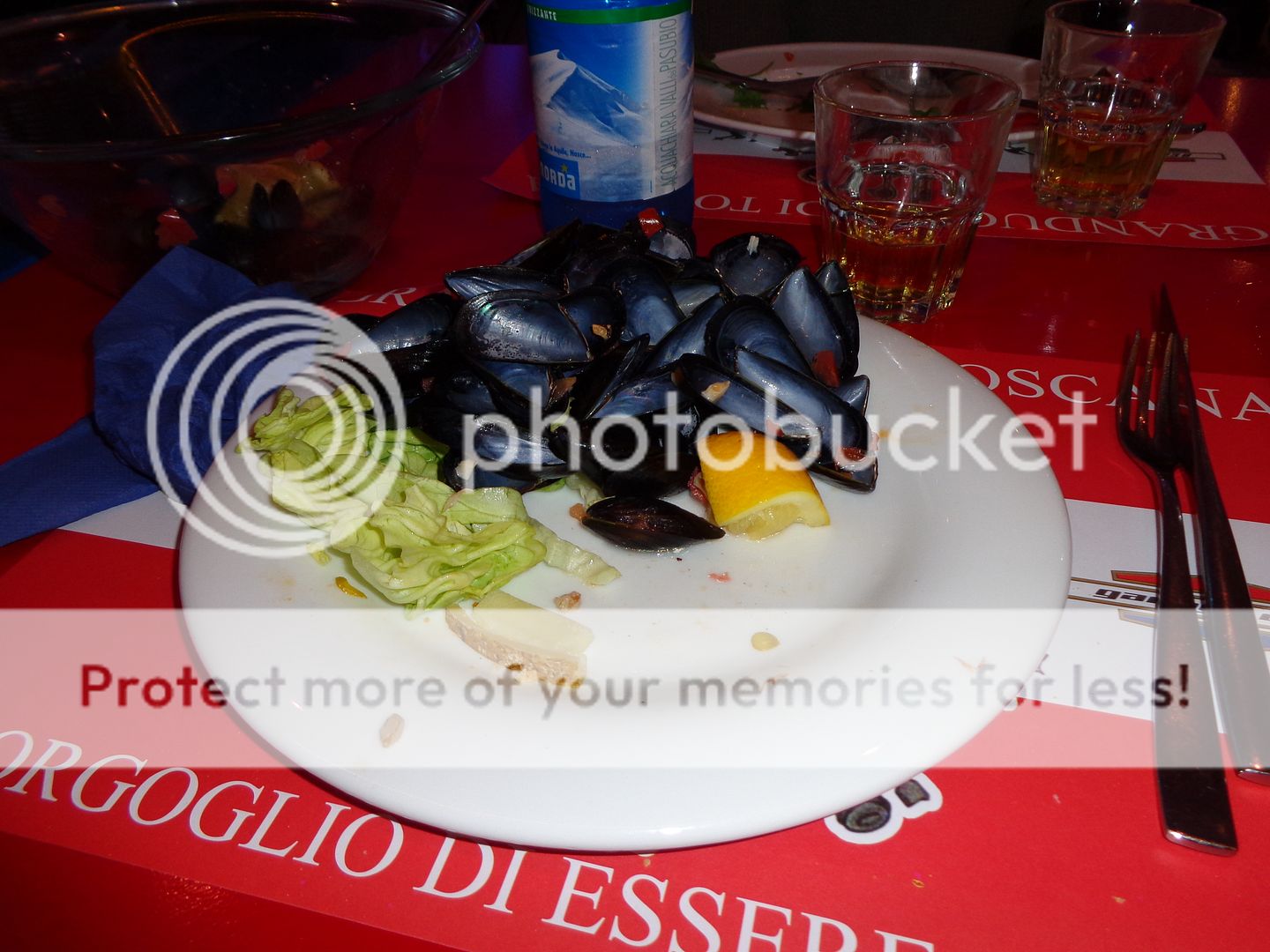 DSC00150.jpg