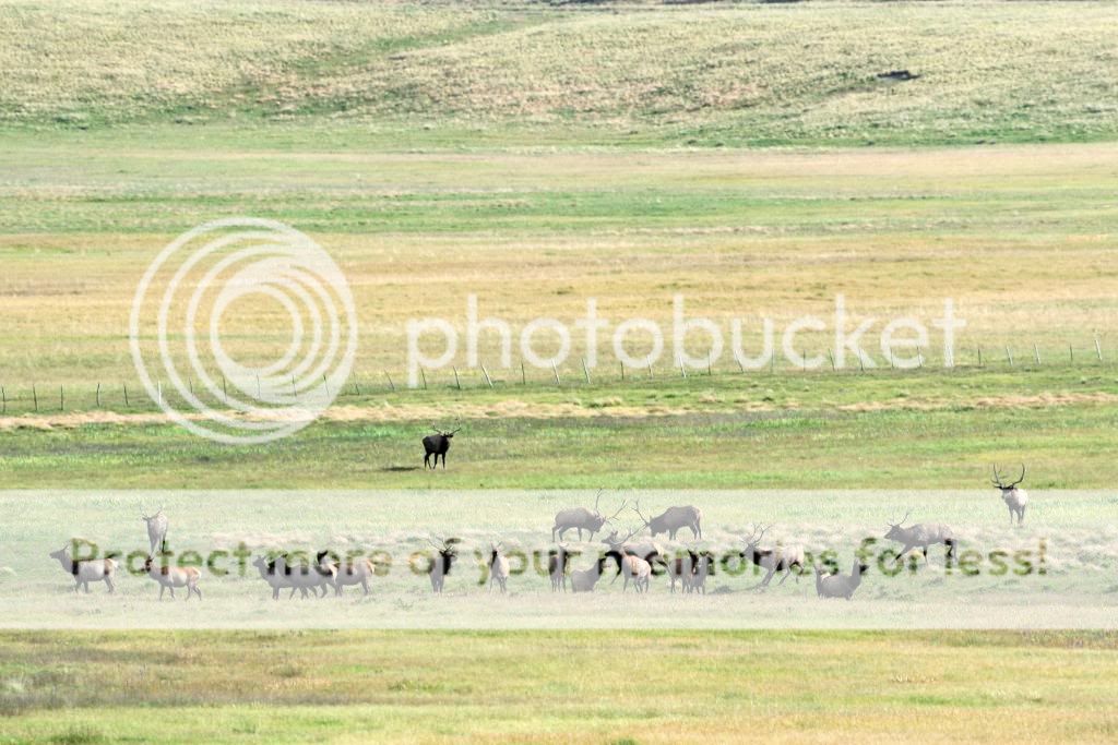Camping in the Valles Caldera, New Mexico Williams Grove Speedway Forums