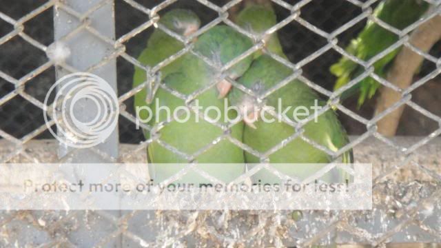 photo si124.jpg