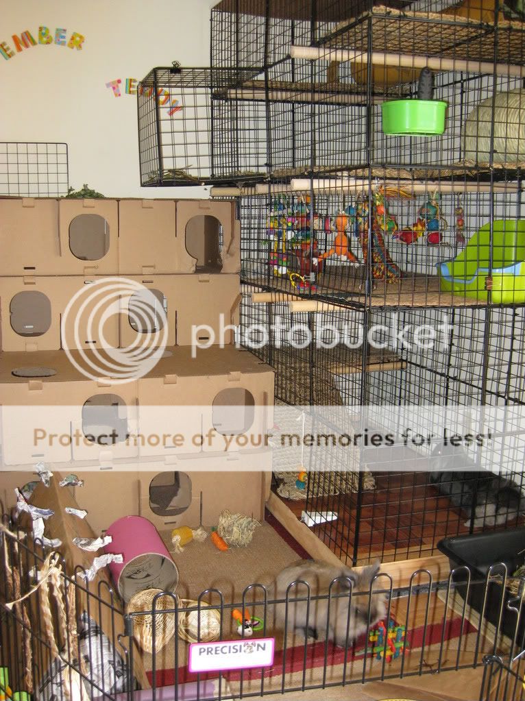 IMG_0088.jpg picture by VLViolet