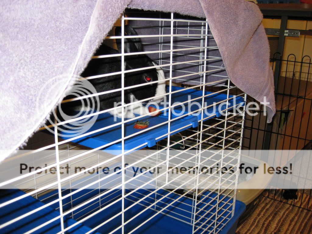 IMG_0113.jpg picture by VLViolet